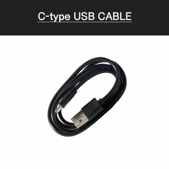 C-type 케이블